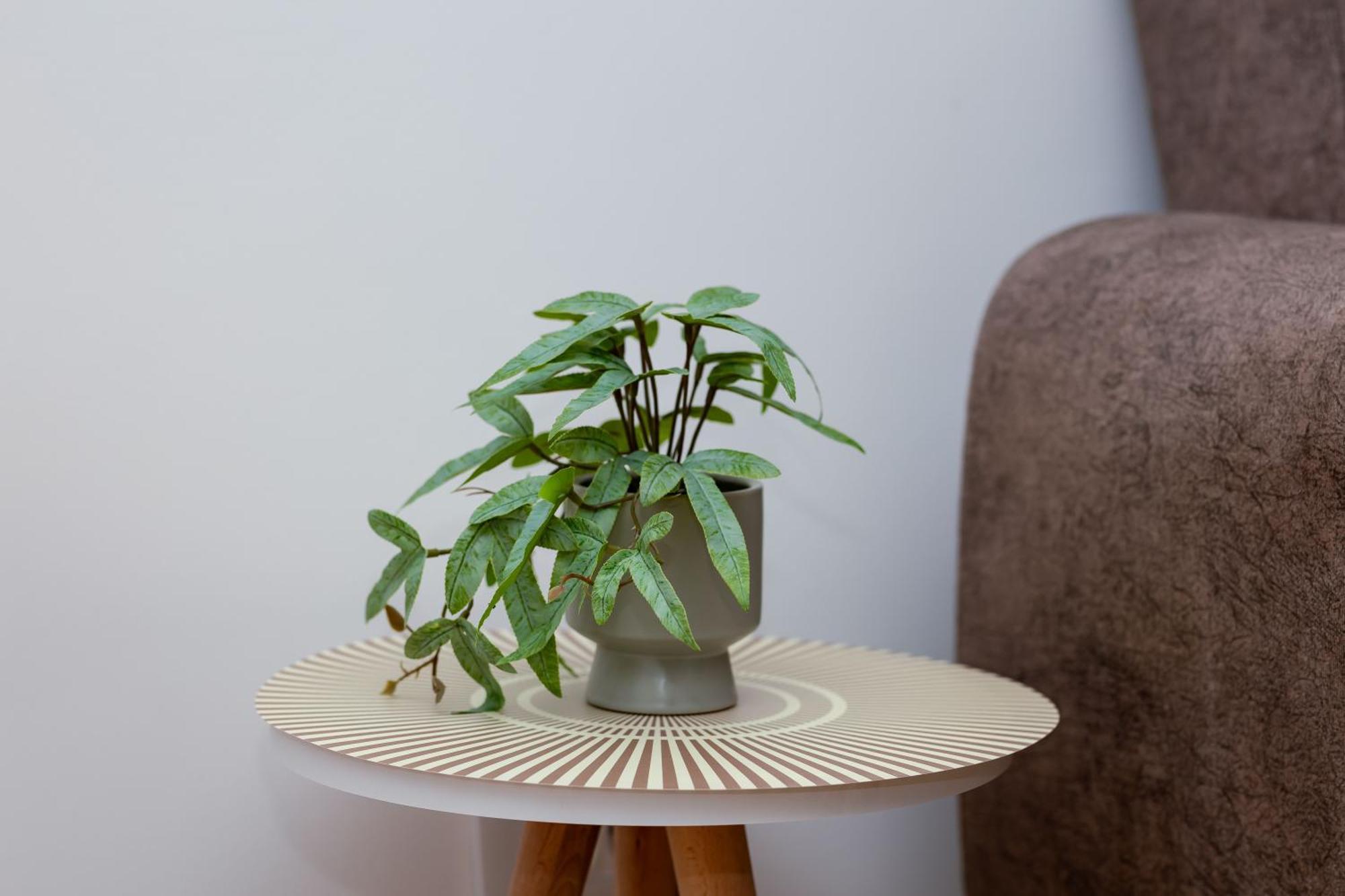 Elegant Escape Podgorica 아파트 외부 사진